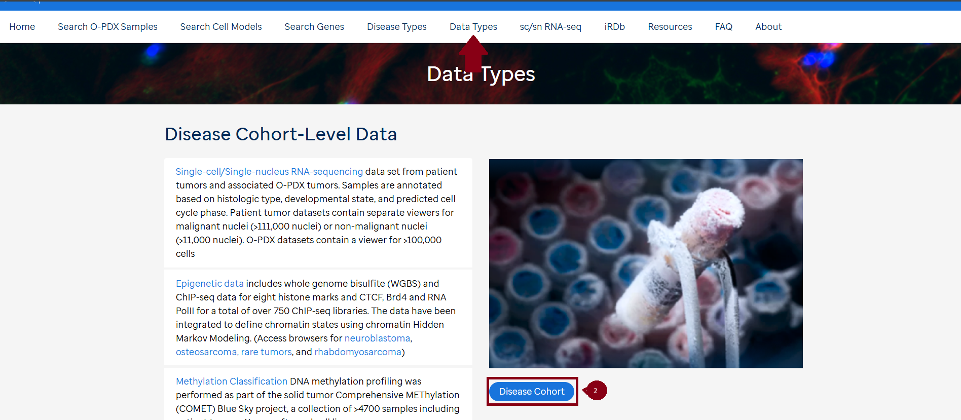 Disease cohort - Screenshot